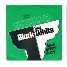 GREYHOUND - Black and white